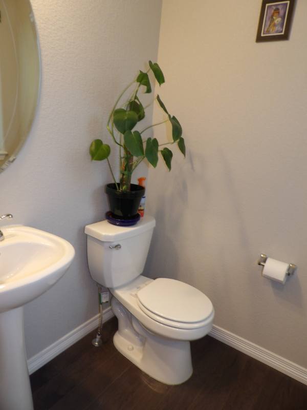 6527 Chaplin Dr, Colorado Springs, CO 80925 - House for Rent - Image 4