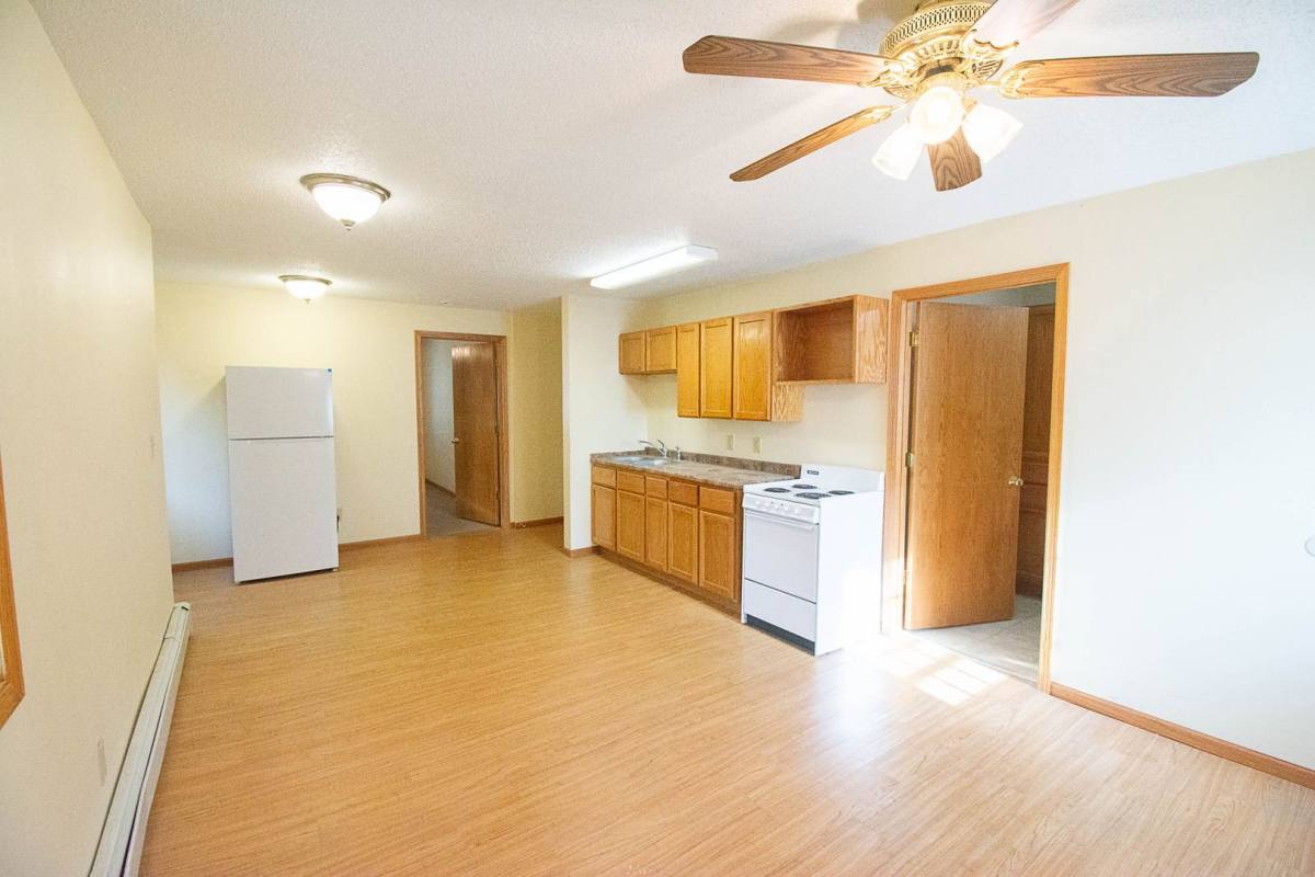 Apartment for rent at 127 Elizabeth Ave, Albert Lea, MN 56007