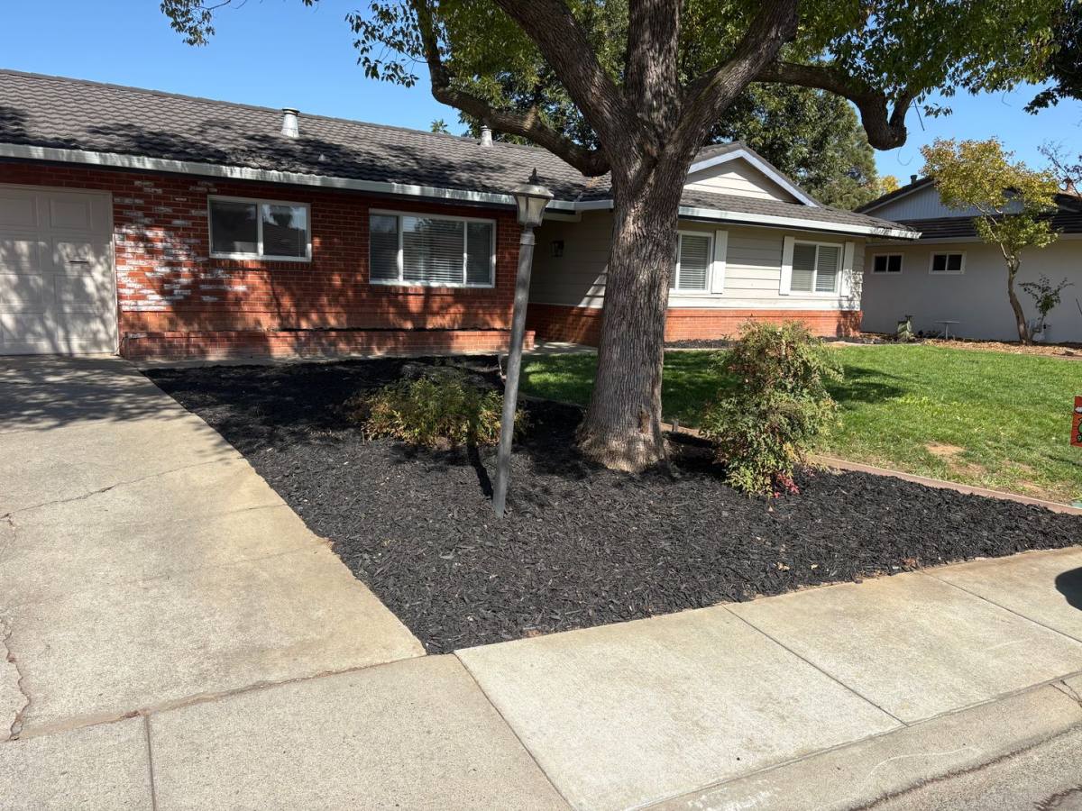 House for rent at 8945 Plaza Park Dr, Elk Grove, CA 95624