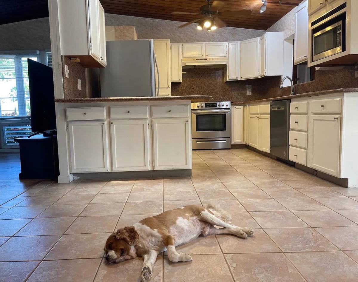 House for rent at 777 Mokapu Rd, Kailua, HI 96734