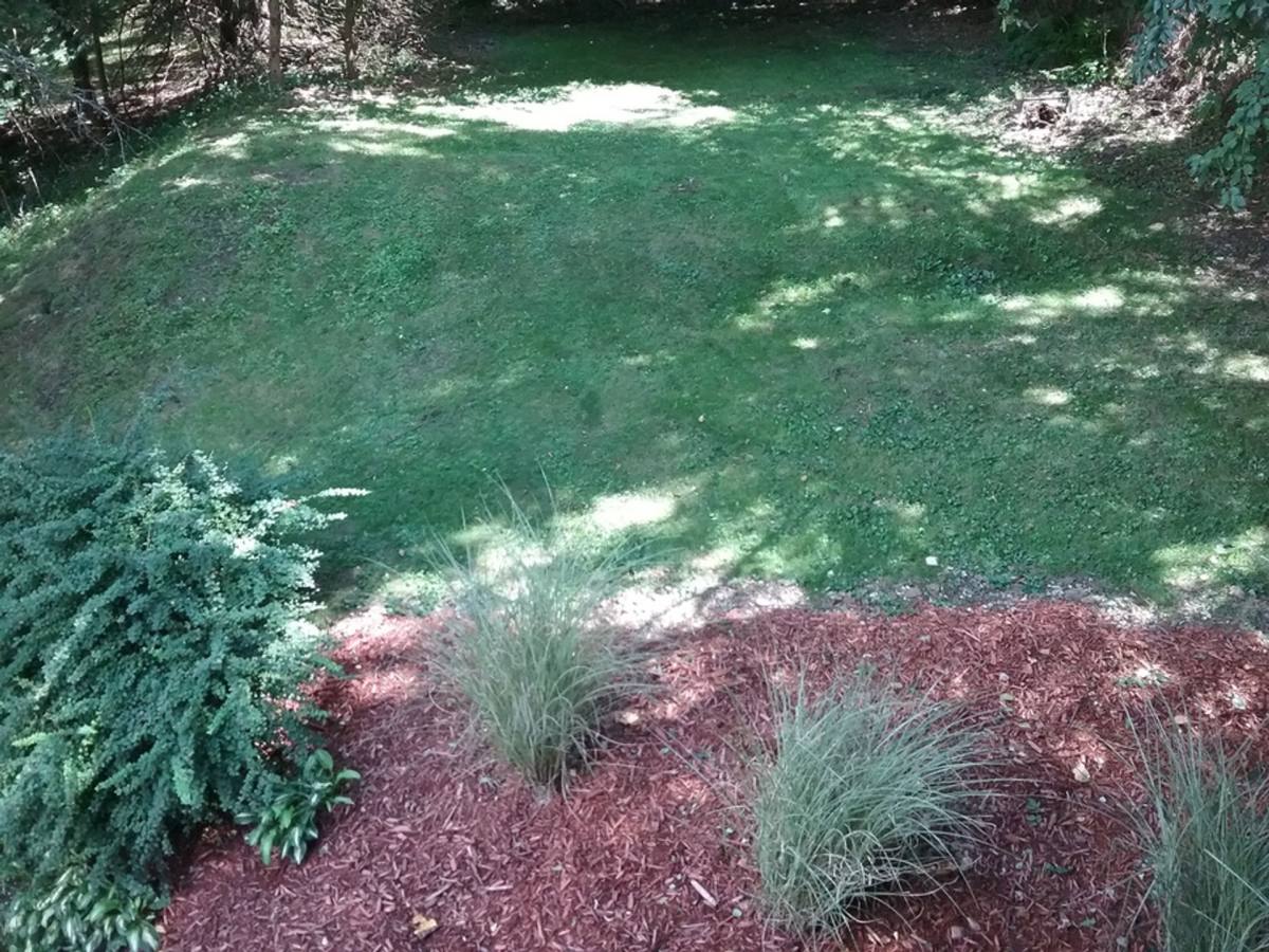 Apartment for rent at 424 7th St, Oakmont, PA 15139