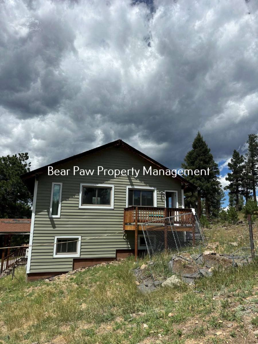 House for rent at 159 Columbine Dr, Bailey, CO 80421
