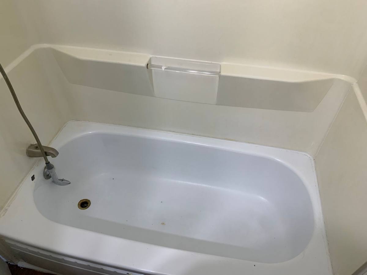 242 Lynwood Ave, Elmira Heights, NY 14903 - Apartment for Rent - Image 5