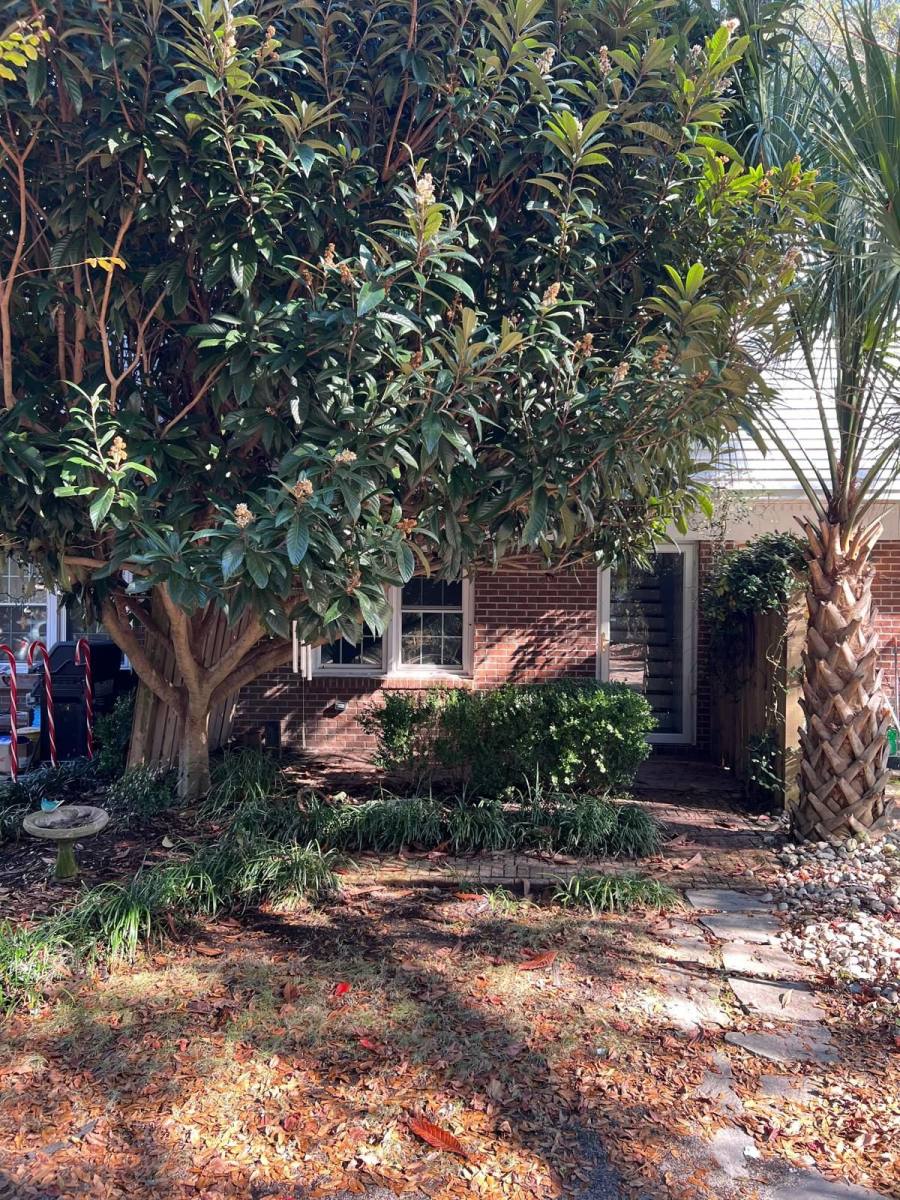 Townhouse for rent at 1661 Forest Dr #8, Little River, SC 29566