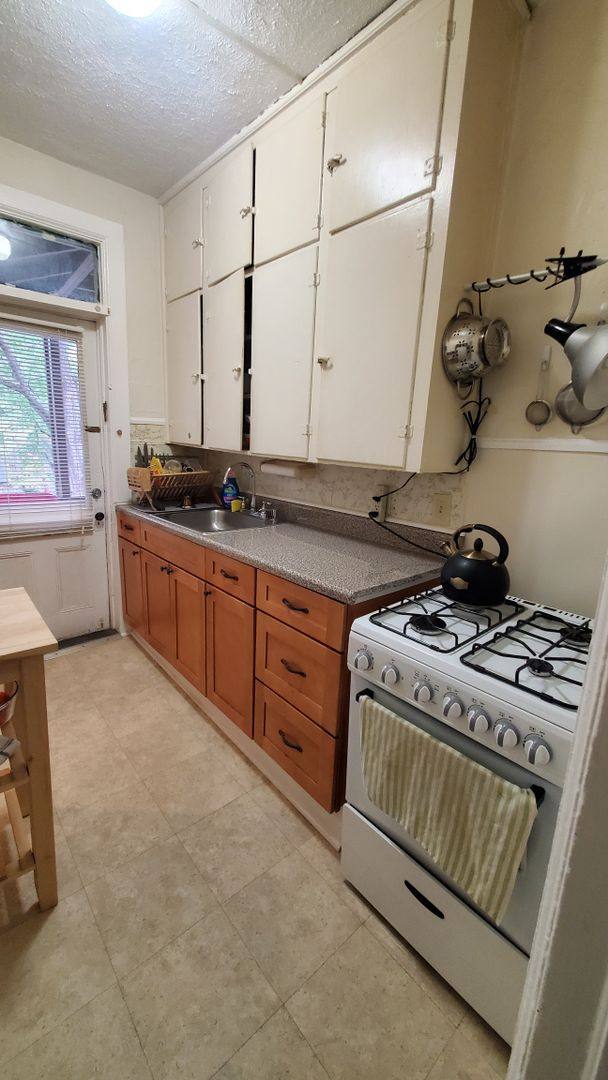 523 E Buffalo St, Ithaca, NY 14850 - Apartment for Rent - Image 10