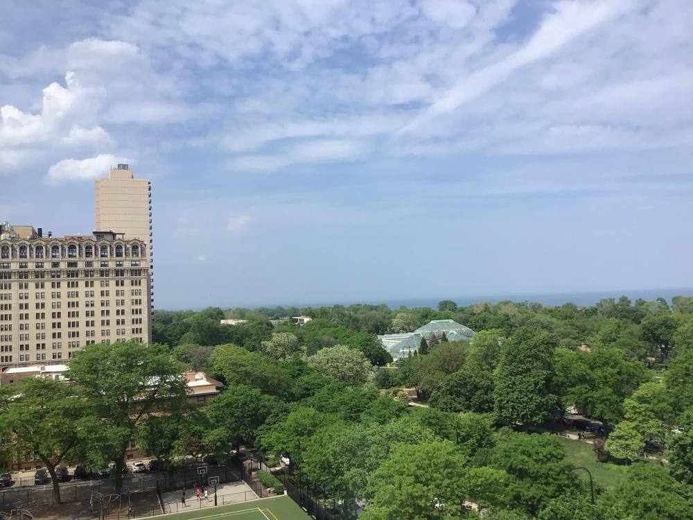 2150 N Lincoln Park W #707, Chicago, IL 60614