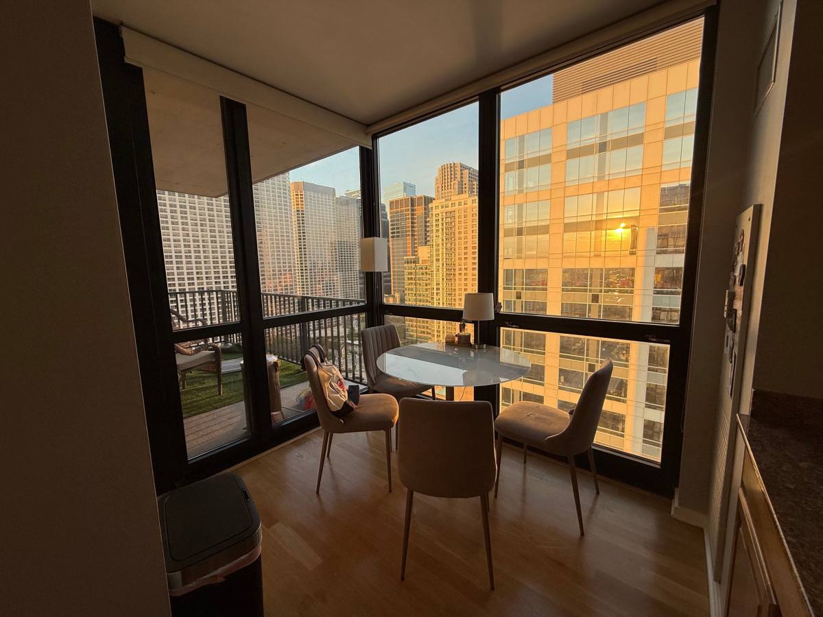 210 S Desplaines, Chicago, IL 60661 - Apartment for Rent - Image 5
