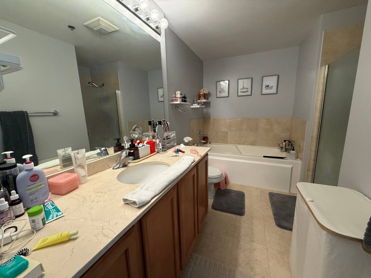 210 S Desplaines, Chicago, IL 60661 - Apartment for Rent - Image 9