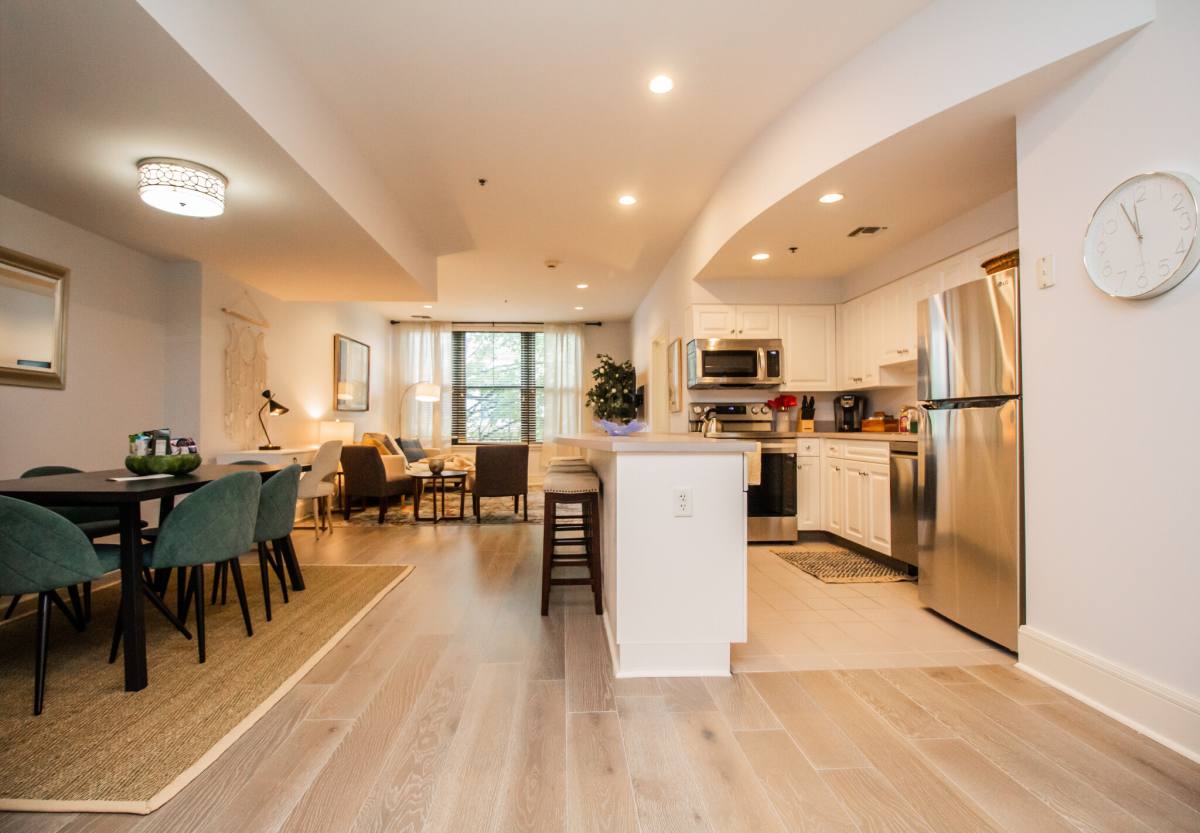 1387 Washington St #203, Boston, MA 02118 - Apartment for Rent - Image 4