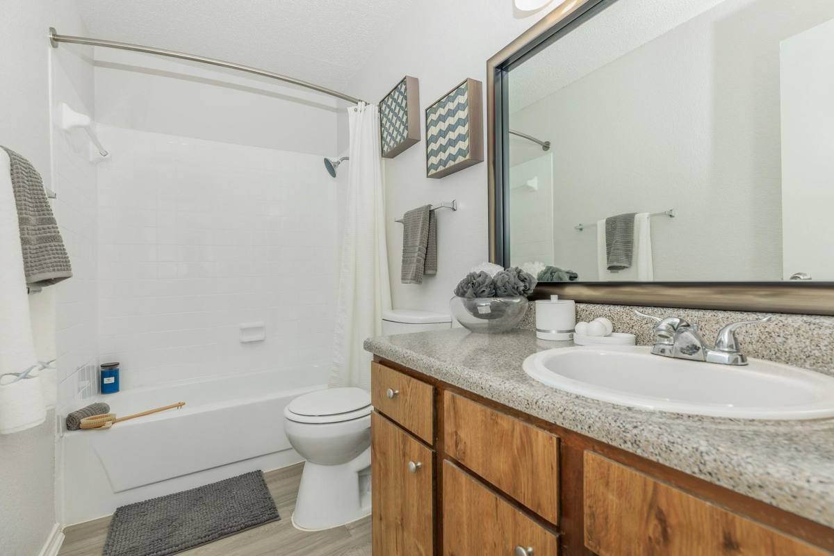 Apartment for rent at 1217 Americana #6102, Mesquite, TX 75150