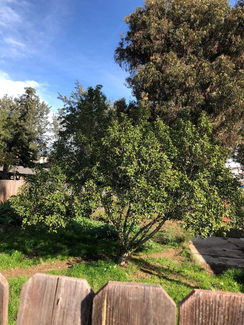 Apartment for rent at 2221 Alton Place, Lemon Grove, CA 91945