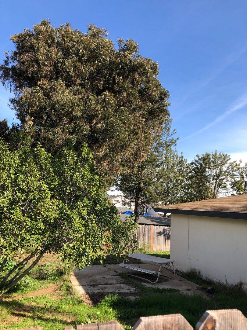 Apartment for rent at 2221 Alton Place, Lemon Grove, CA 91945