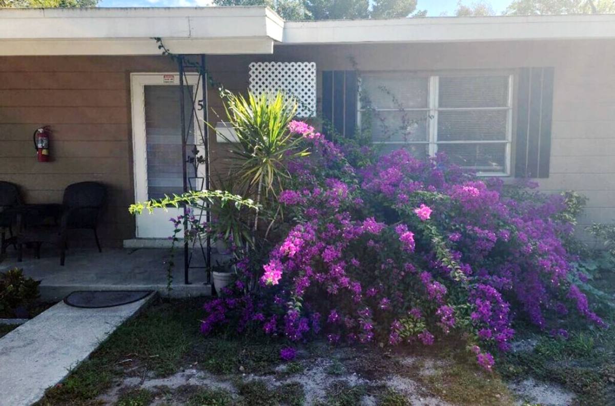 Apartment for rent at 7317 46th Ave N, St. Petersburg, FL 33709