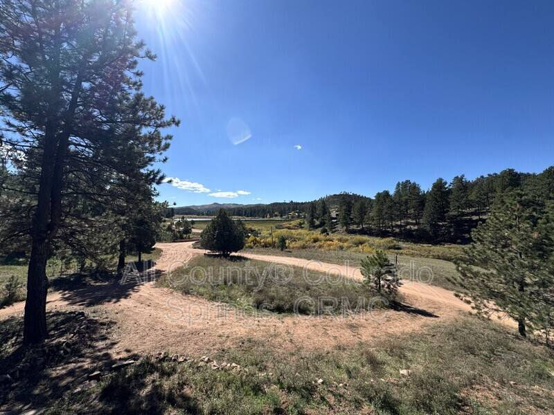 14515 Columbine Circle, Woodland Park, CO 80863 - House for Rent - Image 4