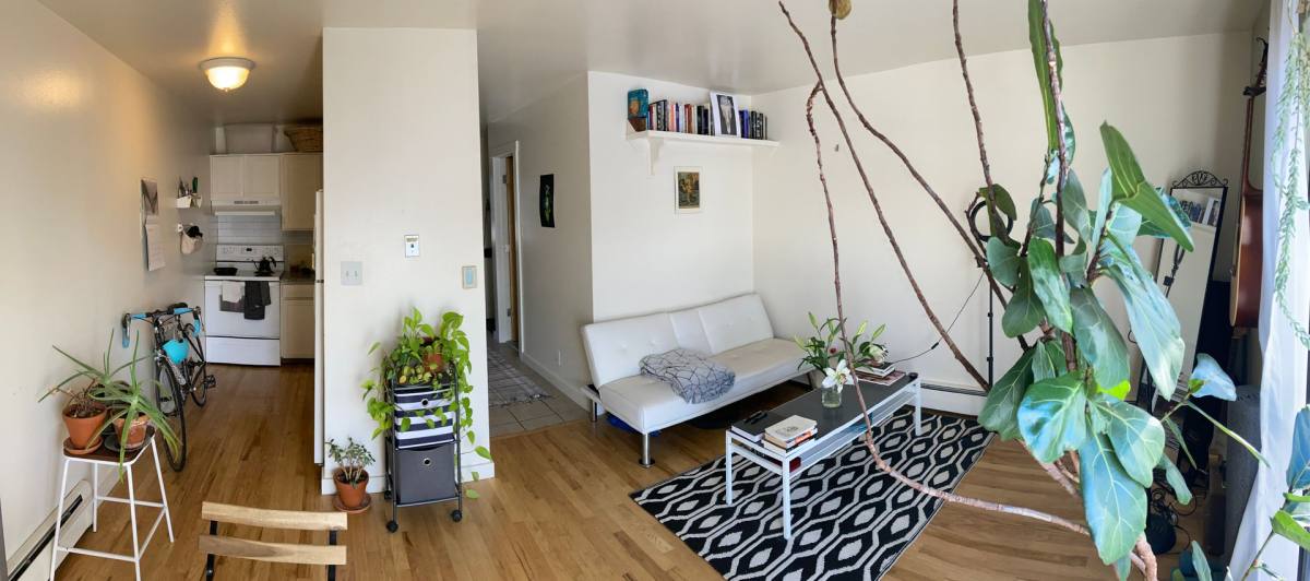 Apartment for rent at 3597 Nottingham Court, Boulder, CO 80304