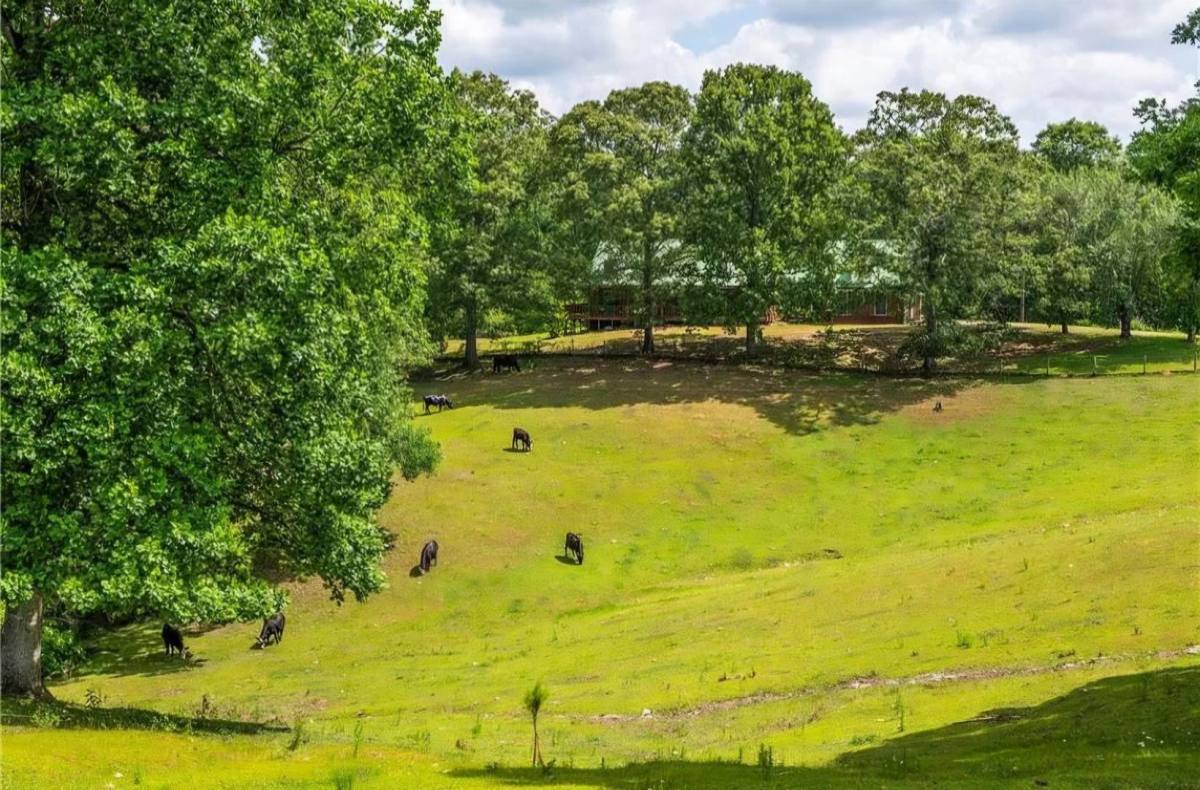 House for rent at 3806 Ball Ground Rd, Ball Ground, GA 30107