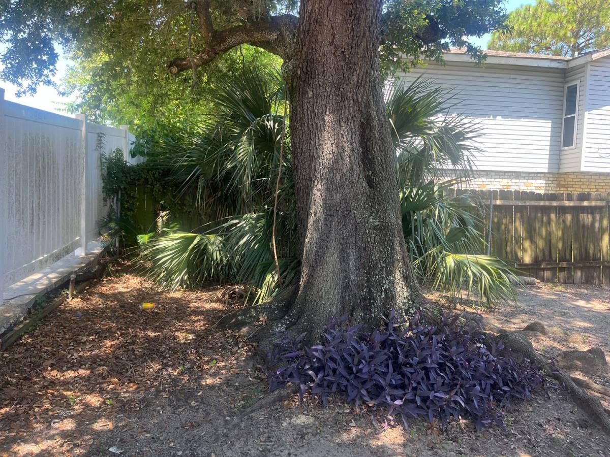 House for rent at 7302-A Alabama St, New Orleans, LA 70126
