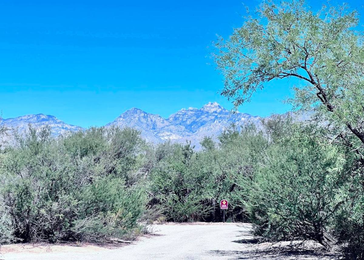 Townhouse for rent at El Mesquital, 11555 E Speedway Blvd, Tucson, AZ 85748