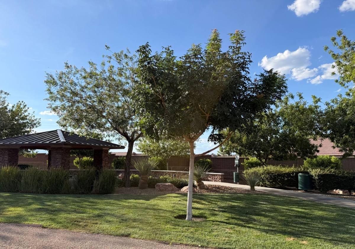 2629 Bechamel Place, Henderson, NV 89044