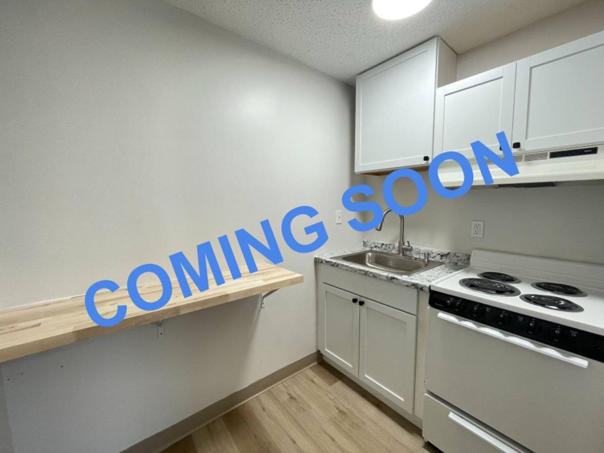Apartment for rent at 251 Pine St #204, Manchester, NH 03103