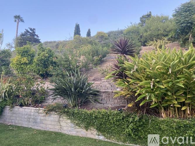 House for rent at 29502 Ana Maria Lane, Laguna Niguel, CA 92677