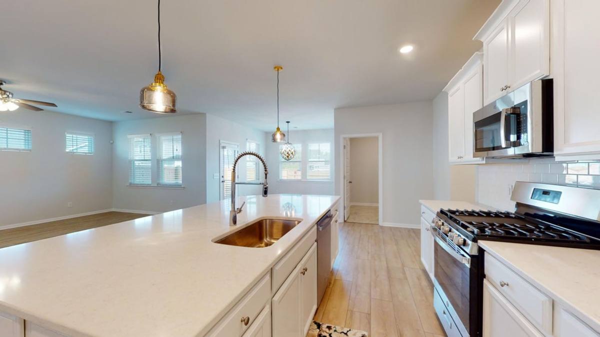 House for rent at 161 Greenbelt Court, Summerville, SC 29485