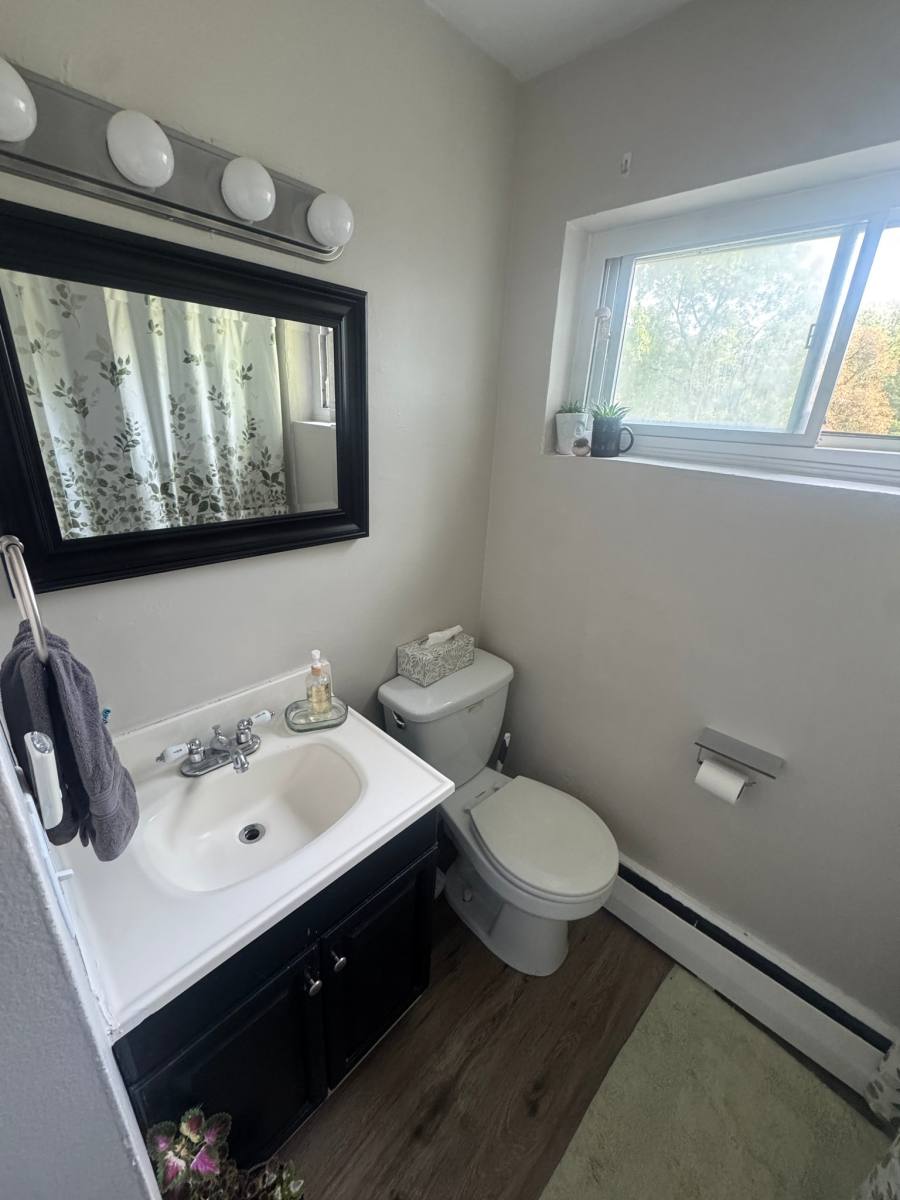 House for rent at 335 Buffalo St #4, Hamburg, NY 14075