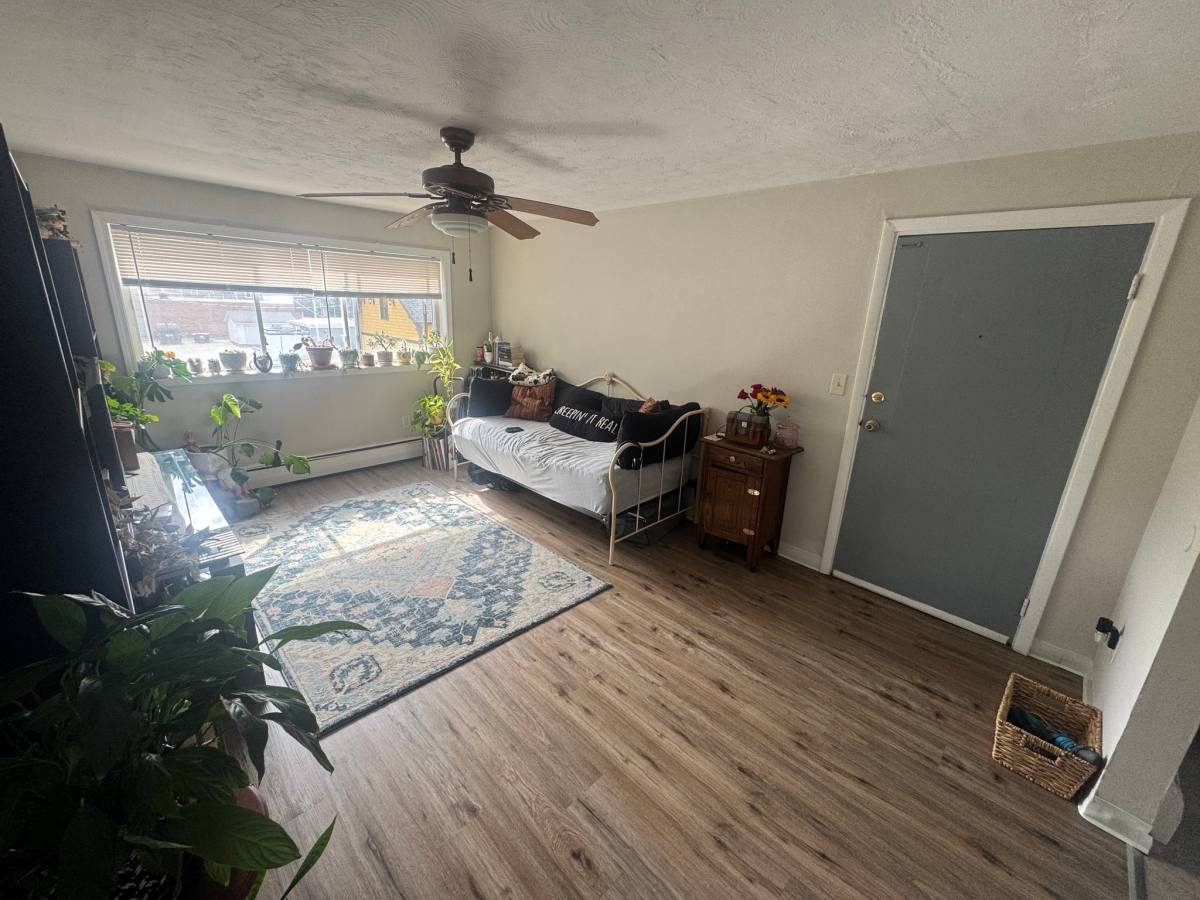 House for rent at 335 Buffalo St #4, Hamburg, NY 14075