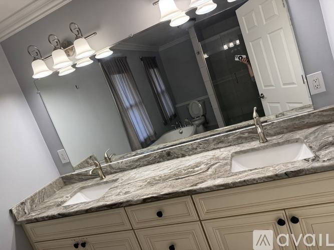 House for rent at 290 Shamrock Hill St, Novi, MI 48377