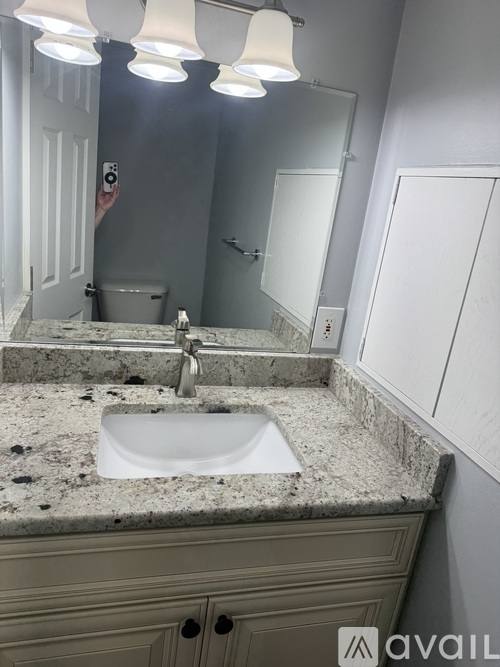 House for rent at 290 Shamrock Hill St, Novi, MI 48377