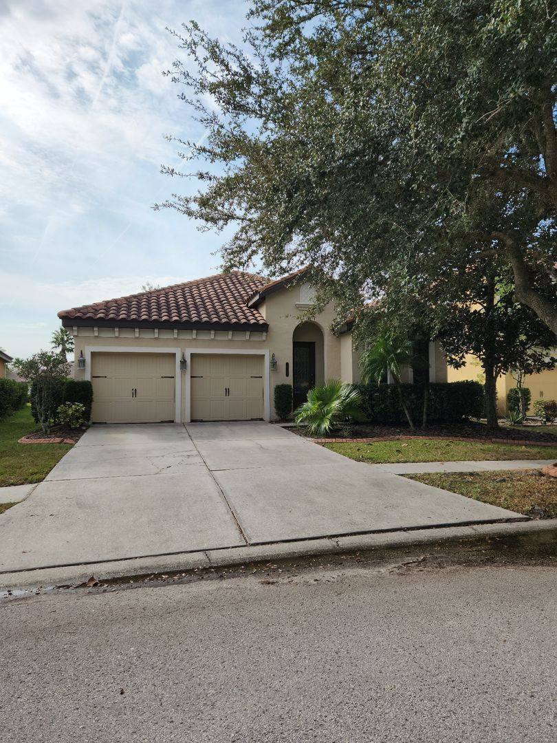 House for rent at 20311 Chesnut Grove Dr, Tampa, FL 33647