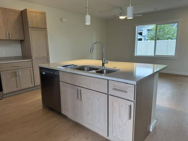 Homestead, 20 Harrington Ave, Dillon, MT 59725 - Apartment for Rent - Image 7