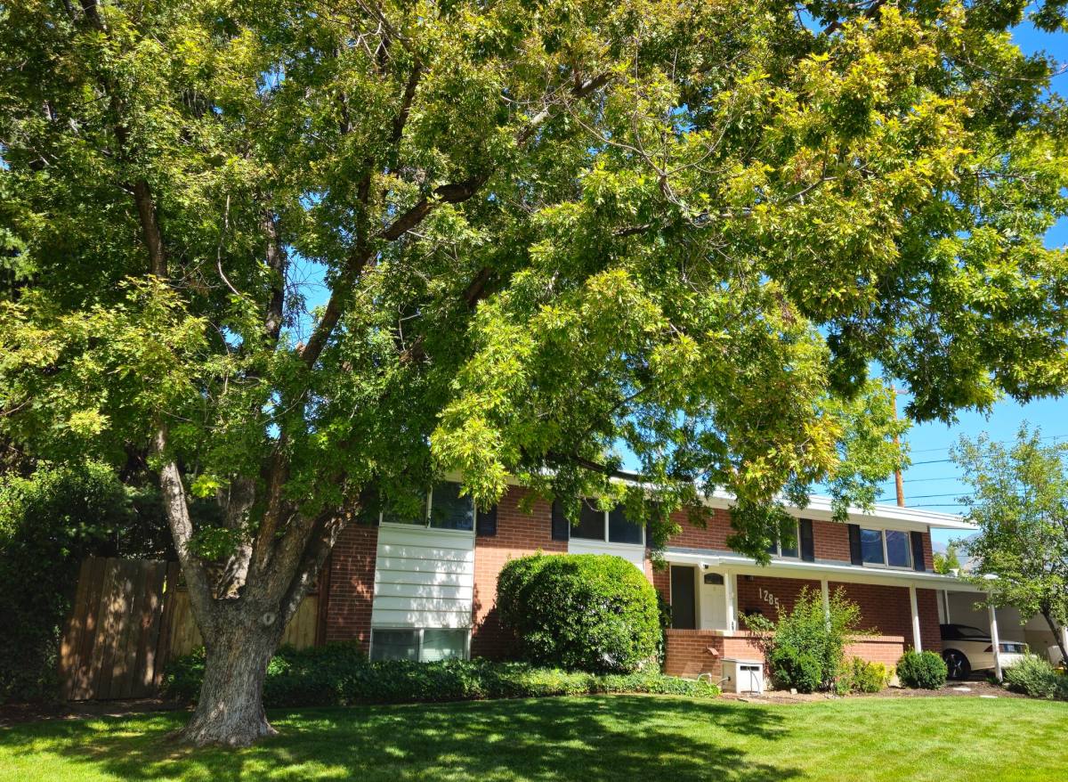 House for rent at 1285 E Hemmingway Dr, Salt Lake City, UT 84121