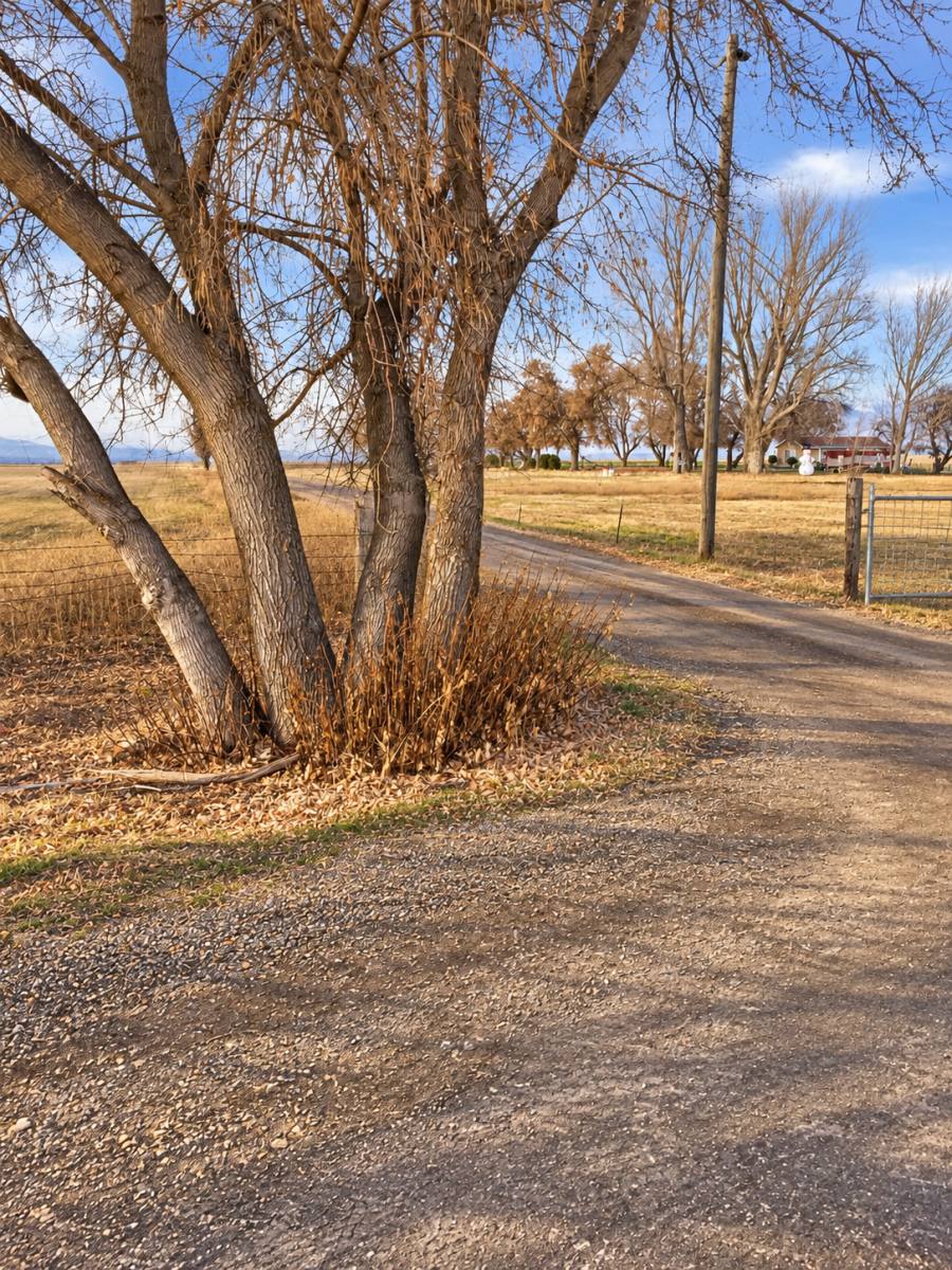 House for rent at 2953 W 6800 S, Wellsville, UT 84339
