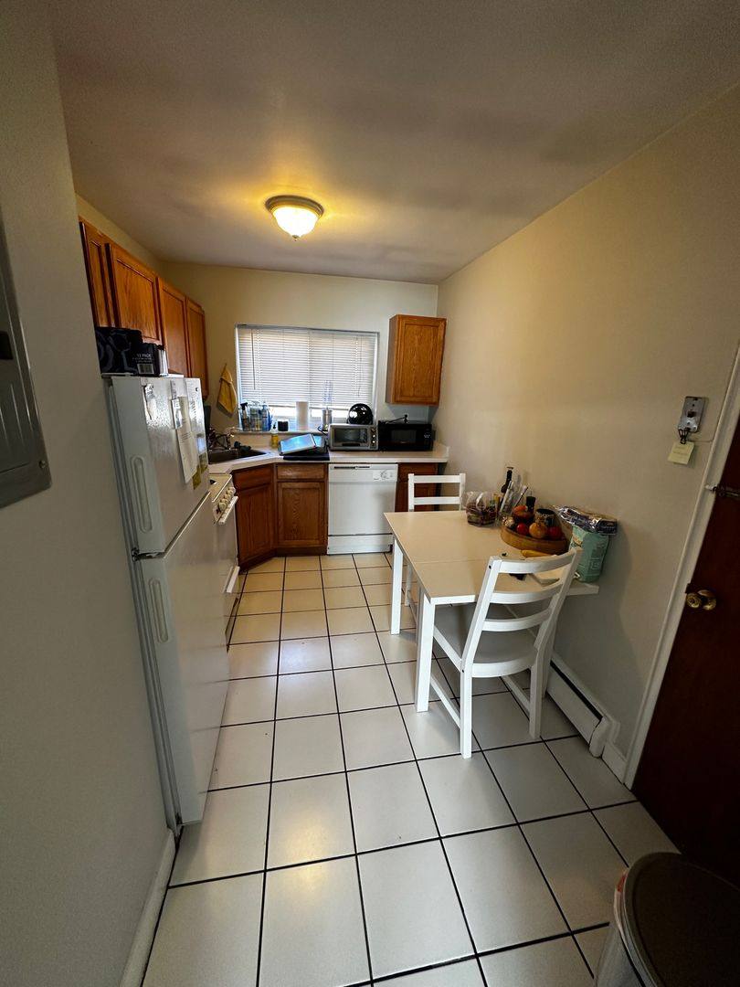 11-60 Selkirk Rd, Brighton, MA 02135 - Apartment for Rent - Image 4