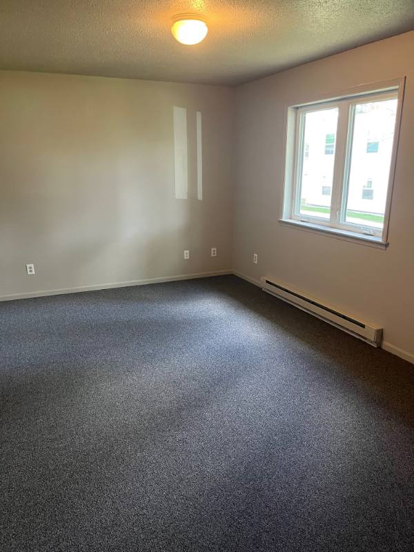 1304 Warren St, Mankato, MN 56001 - Townhouse for Rent - Image 4
