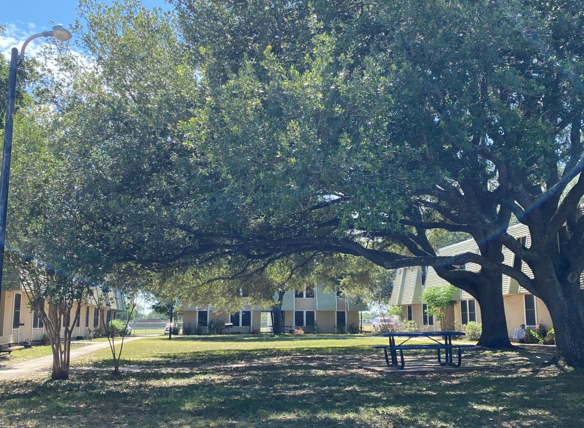 800 N State Highway 123, Seguin, TX 78155 - Apartment for Rent - Image 6