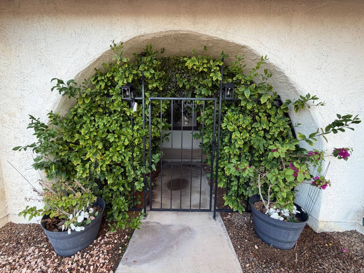 1321 Elsa Way, Boulder City, NV 89005 - House for Rent - Image 3