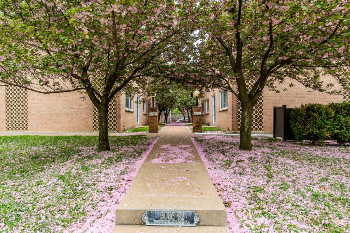 Apartment for rent at 5086 Waterman Blvd #3C, St. Louis, MO 63108
