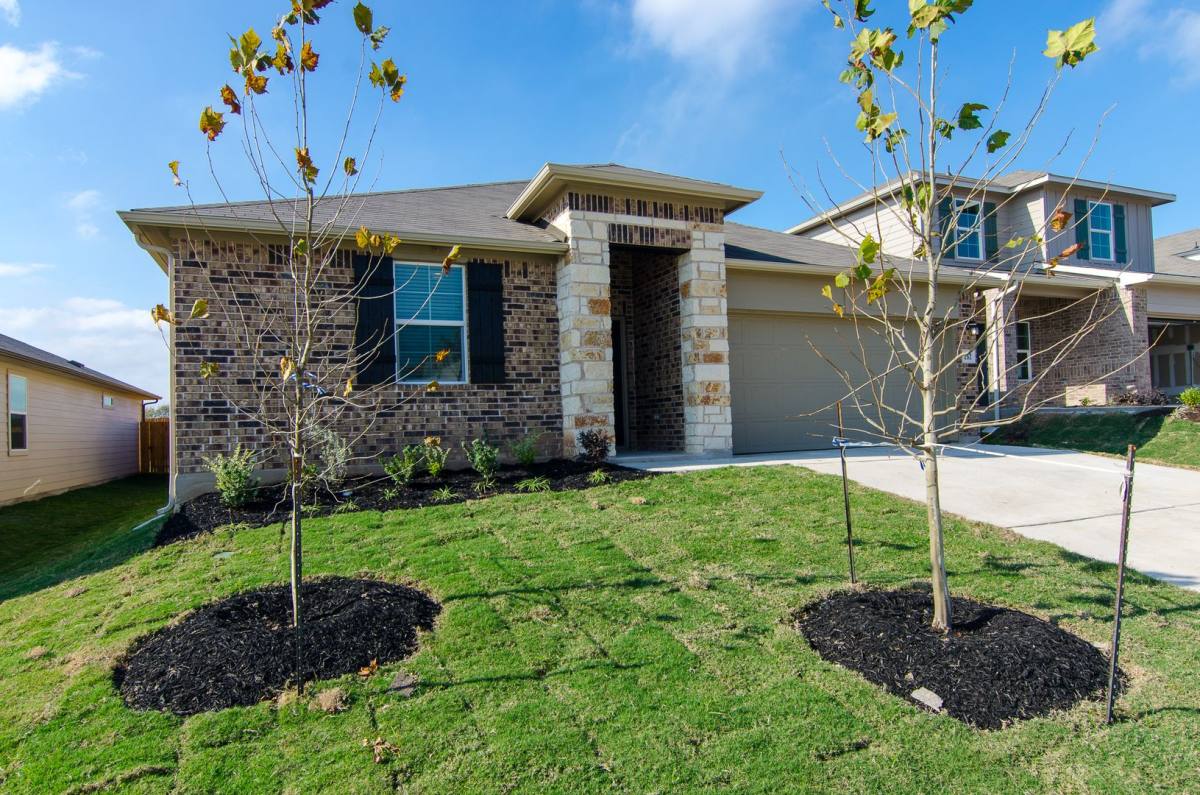 House for rent at 262 Fall Aster Dr, Kyle, TX 78640