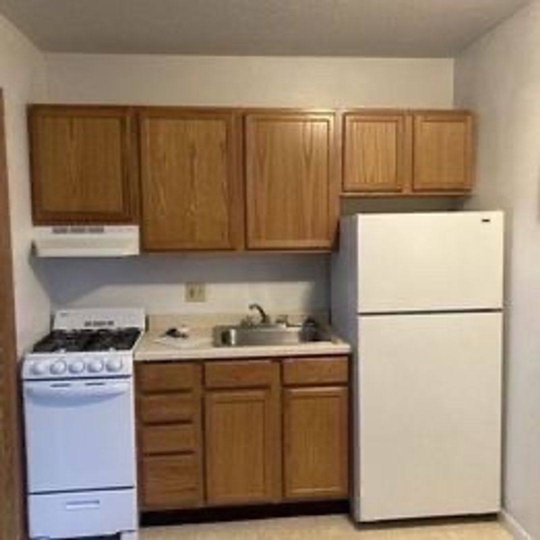 Zeisler St, 1003 Zeisler St, La Crosse, WI 54601 - Apartment for Rent