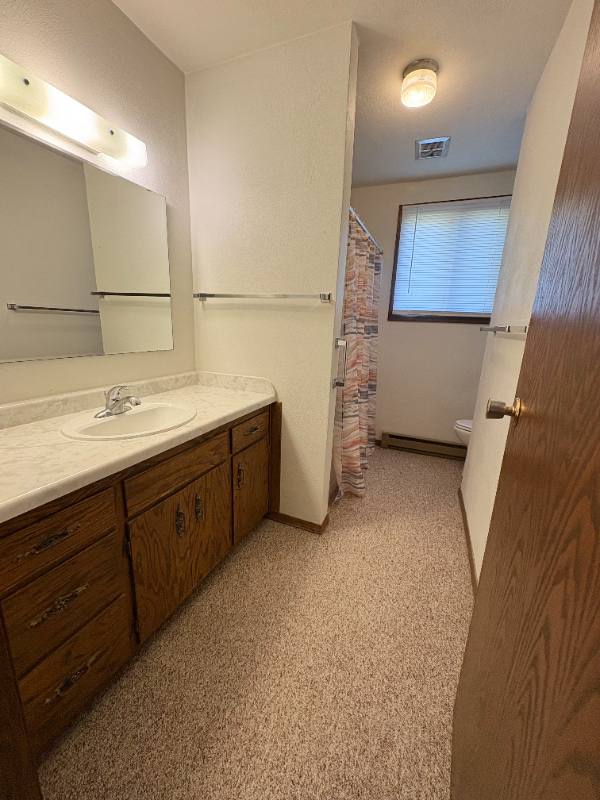 234 1st St NW, Winnebago, MN 56098 - Apartment for Rent - Image 9
