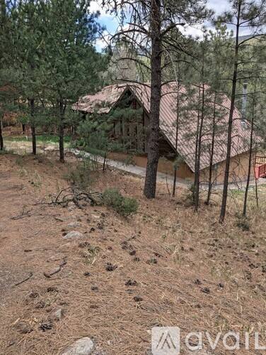 House for rent at 18 Silver Fox Trail, Mayhill, NM 88339