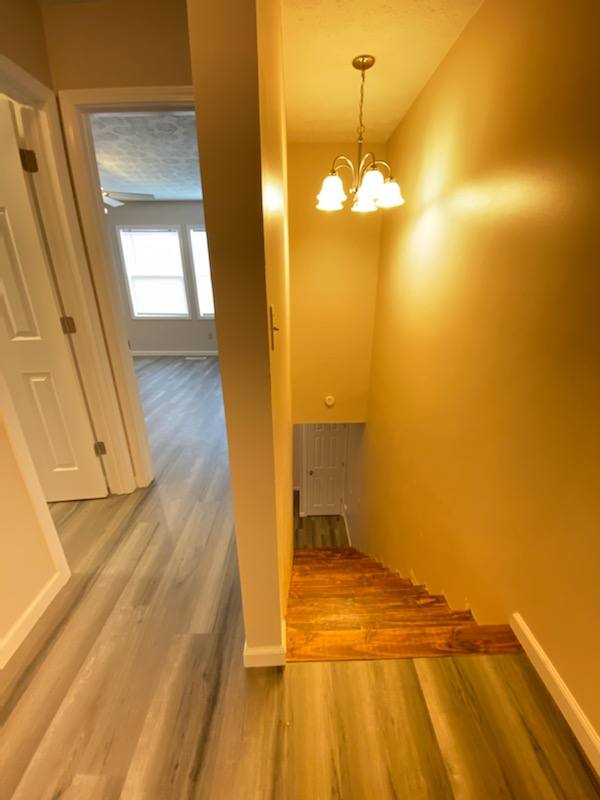 1818 Morecott Dr #B, Charleston, WV 25320 - Townhouse for Rent - Image 5