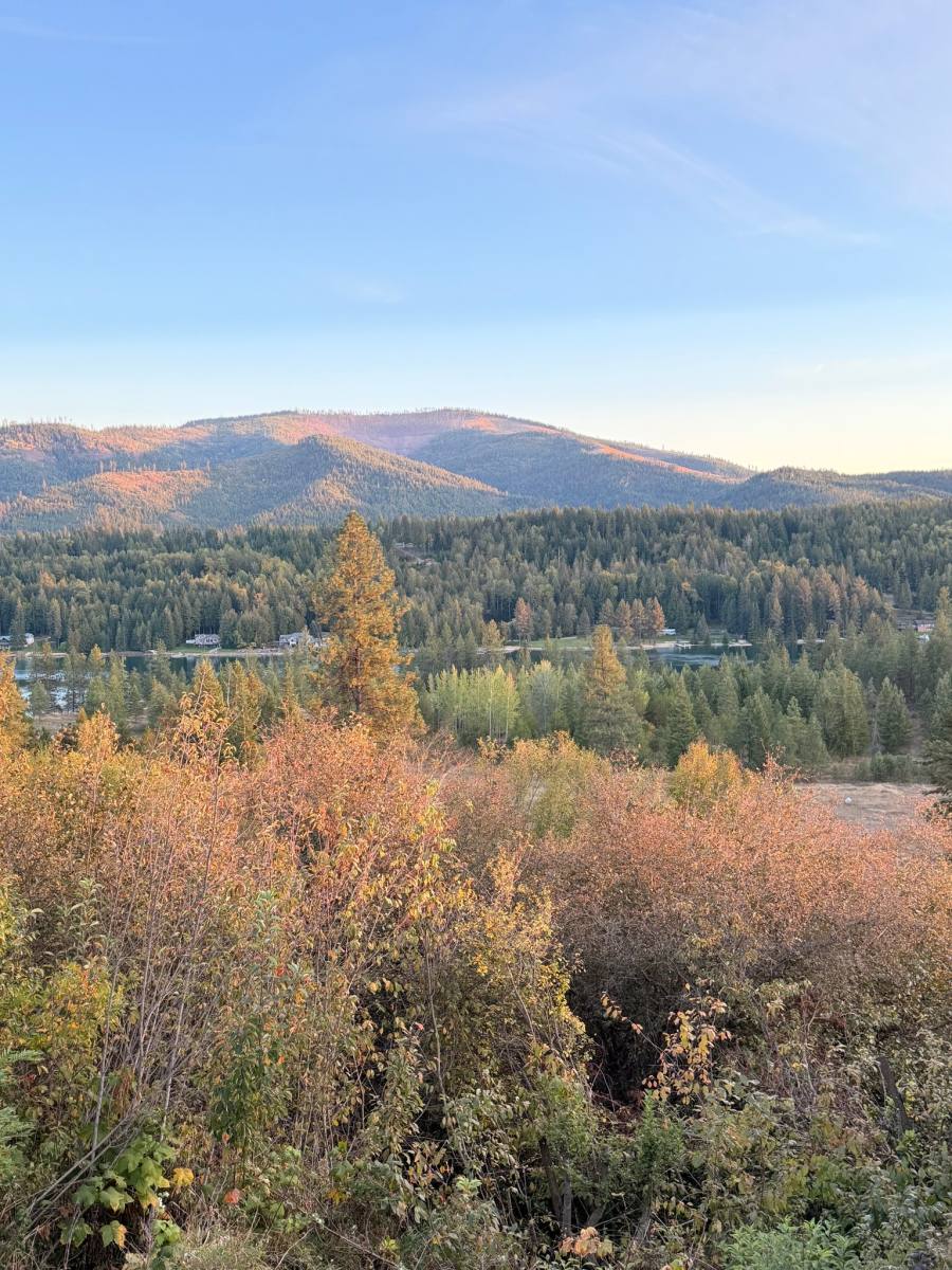 4410 Highway 2, Priest River, ID 83856 - House for Rent - Image 5