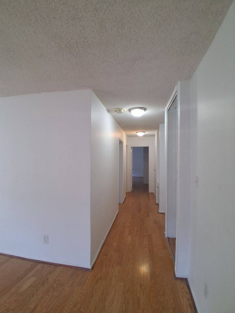 918 3rd St, Santa Monica, CA 90403 - Apartment for Rent - Image 6