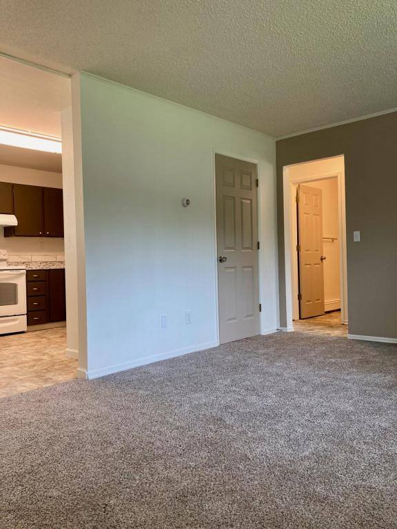 1124 Second St, Kenai, AK 99611 - Apartment for Rent - Image 5