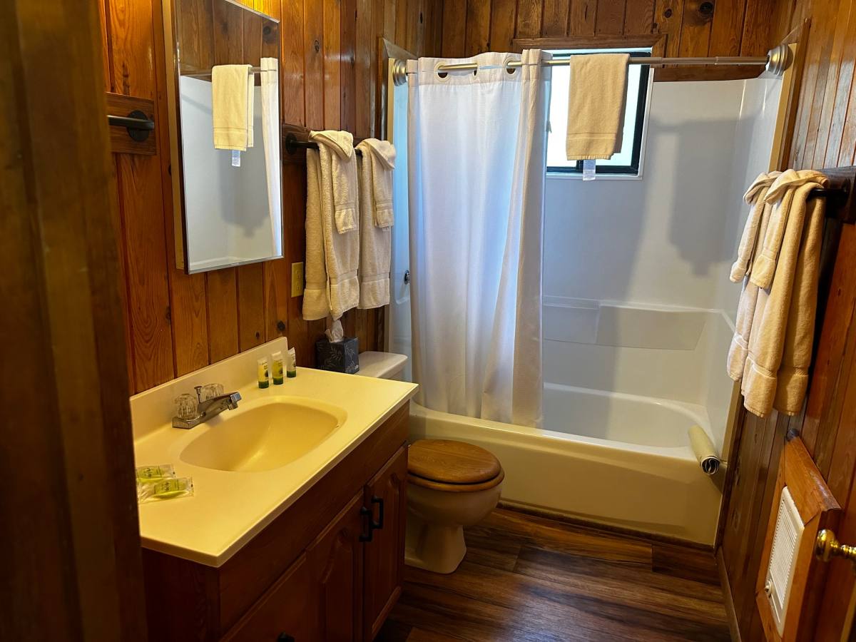 237 White Mountain Blvd #28, Pinetop, AZ 85935 - House for Rent - Image 3