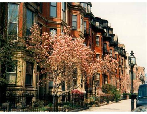 438 Marlborough St, Boston, MA 02115 - Apartment for Rent - Image 2