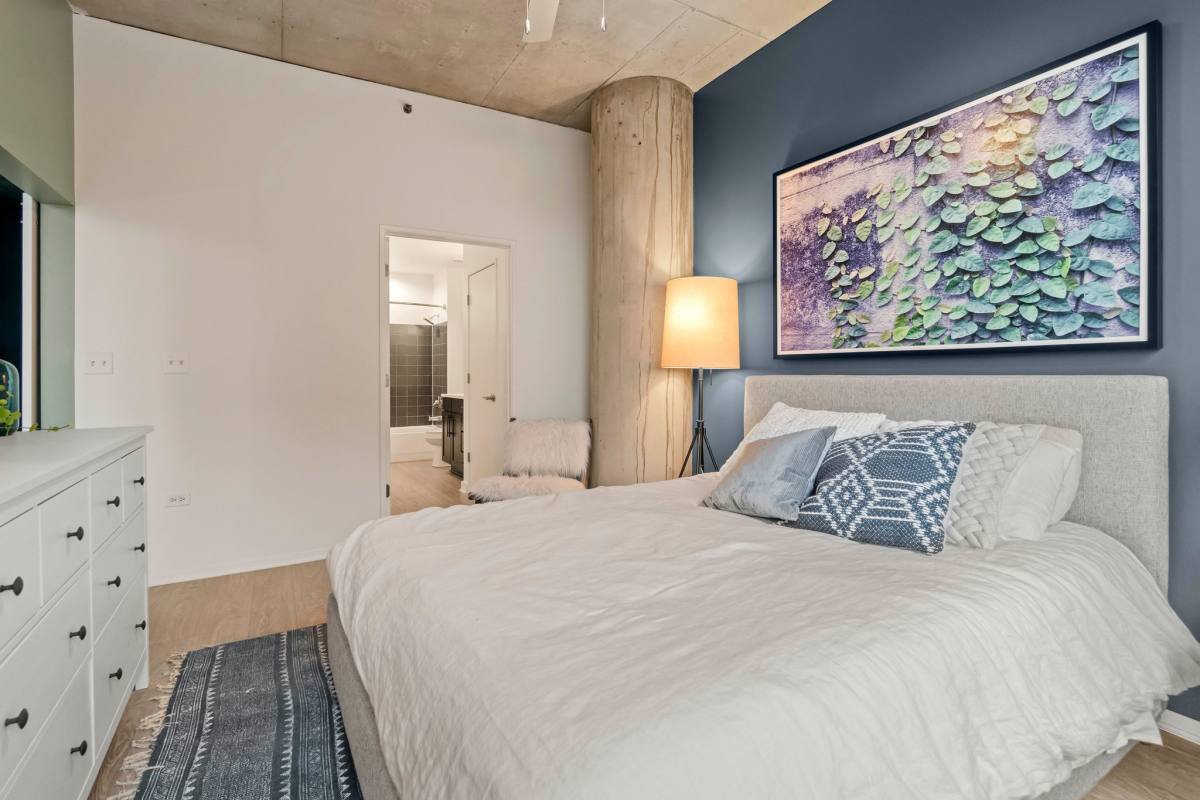 1389 S State, Chicago, IL 60605 - Apartment for Rent - Image 9